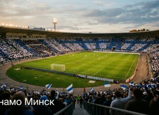 «Динамо» Минск: история клуба, титулы и золото чемпионата СССР «Динамо» Минск: история клуба, титулы и золото чемпионата СССР