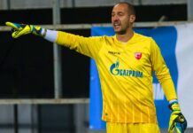 Милан Борян №82 — Црвена Звезда