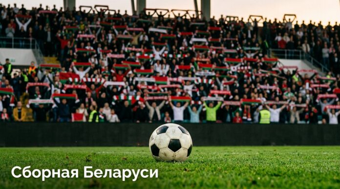 Сборная Беларуси по футболу — история и рекорды