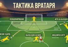 Тактика вратаря в футболе: позиционирование, выходы, ввод мяча